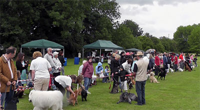Froyle Fete 2011